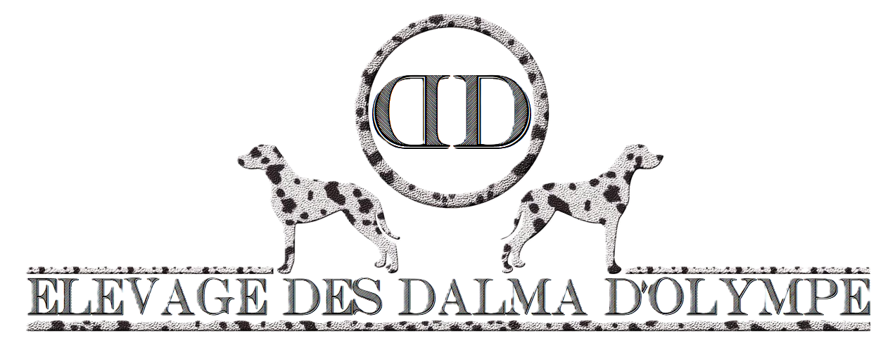 Des Dalma d'Olympe